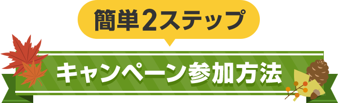 簡単2ステップ キャンペーン参加方法