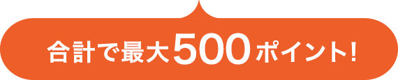 合計で最大500ポイント