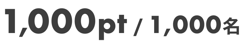 1,000pt / 1,000名