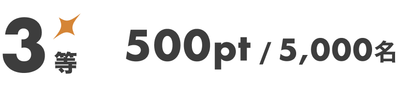 3等 500pt / 5,000名
