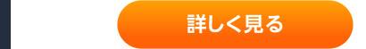 詳しく見る
