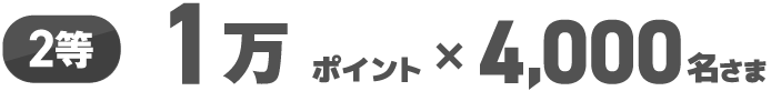 2等 1万ポイント×4,000名さま