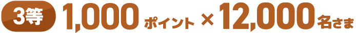 3等 1,000ポイント×12,000名さま