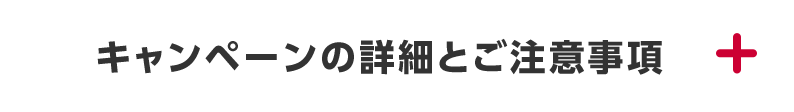 キャンペーンの詳細とご注意事項