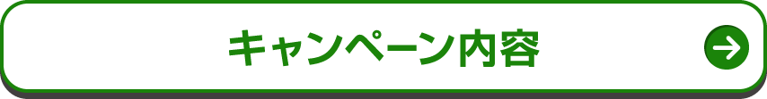 キャンペーン内容