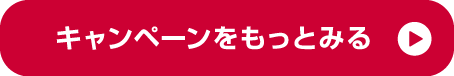 キャンペーンをもっとみる