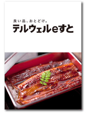 テルウェルeすと
