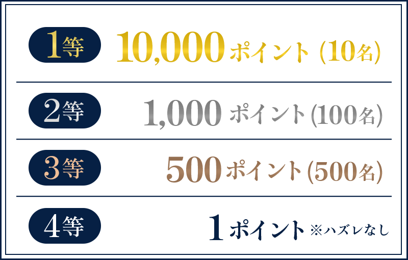 1等10,000ポイント（10名） 2等1,000ポイント（100名） 3等500ポイント（500名） 4等1ポイント※ハズレなし