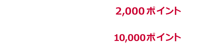 1回あたり上限2,000ポイント 期限中上限10,000ポイント