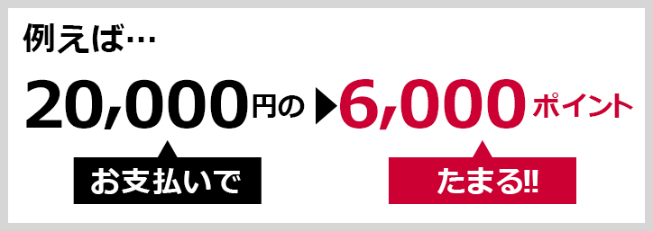 例えば… 20,000円のお支払いで▶6,000ポイントたまる!!
