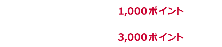 1回あたり上限1,000ポイント 期限中上限3,000ポイント