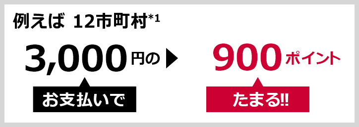 例えば 12町村*1…　3,000円のお支払いで▶900ポイントたまる！！