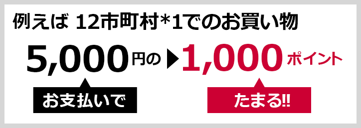 例えば… 12市町*1でのお買い物 5,000円のお支払いで▶1,000ポイントたまる！！