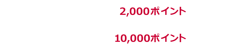 1回あたり上限2,000ポイント 期限中上限10,000ポイント