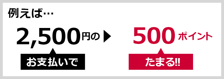 例えば… 2,500円のお支払いで▶500ポイントたまる！！