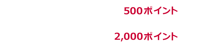 1回あたり上限500ポイント 期限中上限2,000ポイント