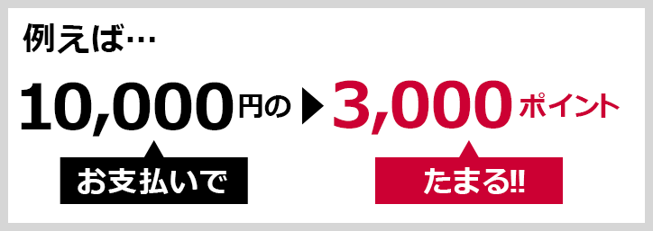例えば… 10,000円のお支払いで▶3,000ポイントたまる!!