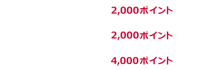1回あたり上限2,000ポイント、1か月あたり上限2,000ポイント、期限中上限4,000ポイント