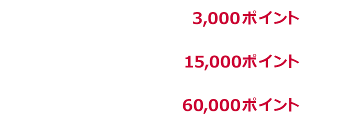 1回あたり上限3,000ポイント 1か月あたり上限15,000ポイント 期限中上限60,000ポイント