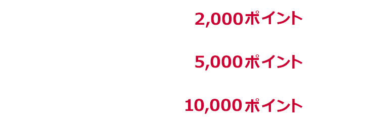 1回あたり上限2,000ポイント 1か月あたり上限5,000ポイント 期限中上限10,000ポイント