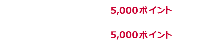 1回あたり上限5,000ポイント 期限中上限5,00ポイント