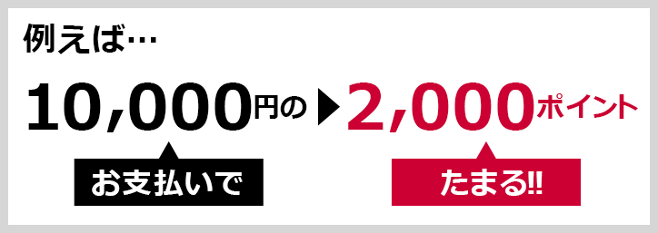 例えば… 10,000円のお支払いで>2,000ポイントたまる!!