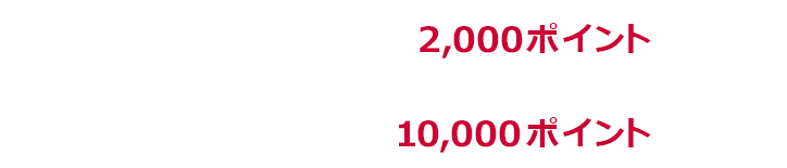 1回あたり上限2,000ポイント 期限中上限10,000ポイント