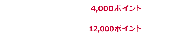 1回あたり上限4,000ポイント 期限中上限12,000ポイント