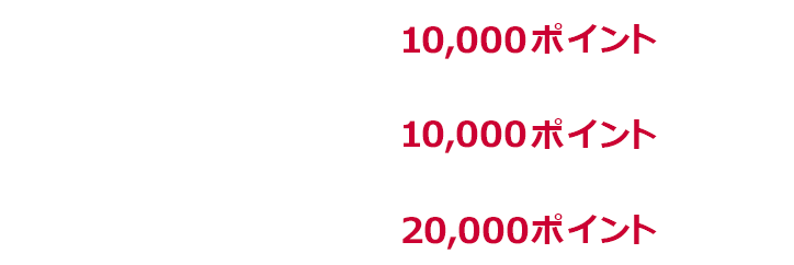 1回あたり上限2,000ポイント 1か月あたり上限10,000ポイント 期限中上限20,000ポイント