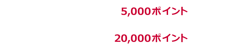 1回あたり上限5,000ポイント 期限中上限20,000ポイント