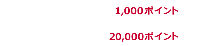 1回あたり上限1,000ポイント 期限中上限20,000ポイント