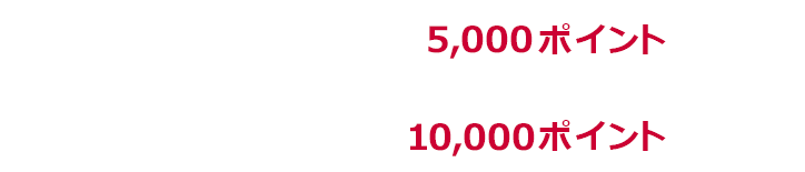 1回あたり上限5,000ポイント 期限中上限10,000ポイント