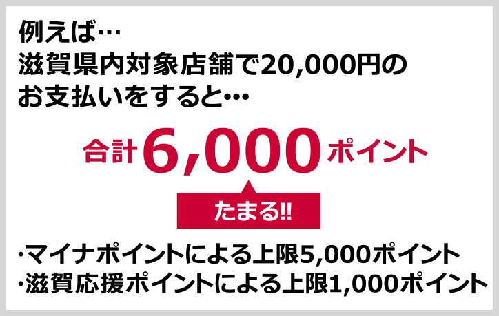 例えば… 10,000円のお支払いで>2,000ポイントたまる!!