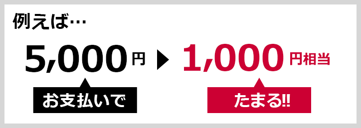 例えば… 5,000円のお支払いで▶1,000ポイントたまる！！