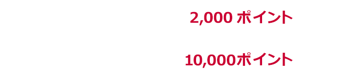 1回あたり上限2,000ポイント 期限中上限10,000ポイント