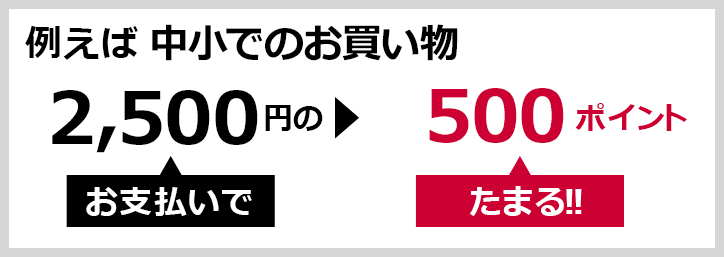 例えば… 中小でのお買い物 2.500円のお支払いで▶500ポイントたまる！！