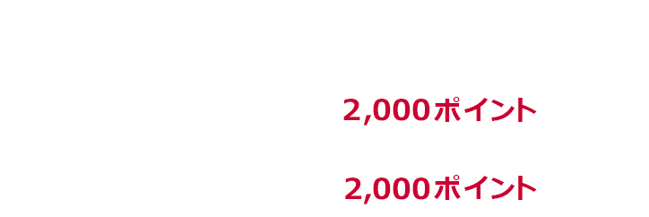 中小20% 1回あたり上限2,000ポイント 期限中上限2,000ポイント