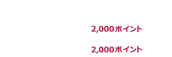 中小20% 1か月あたり上限2,000ポイント 期限中上限2,000ポイント