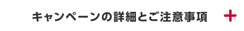キャンペーンの詳細とご注意事項