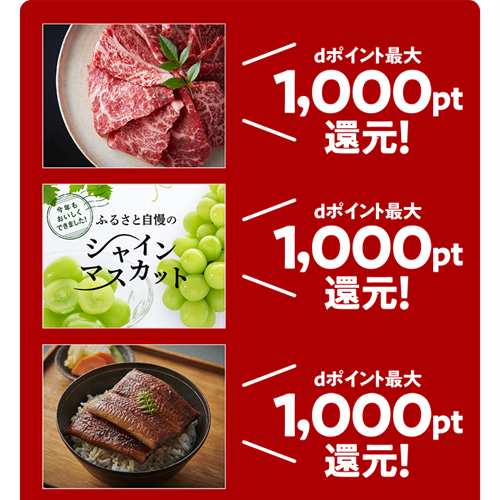 dポイント最大1,000pt還元!