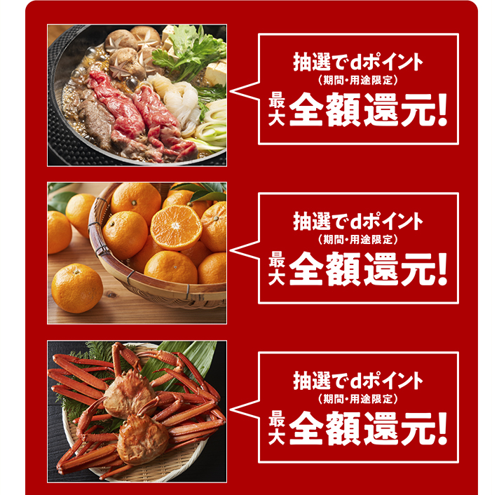 抽選でdポイント（期間・用途限定） 最大全額還元！