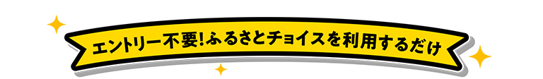 エントリー不要！ふるさとチョイスを利用するだけ