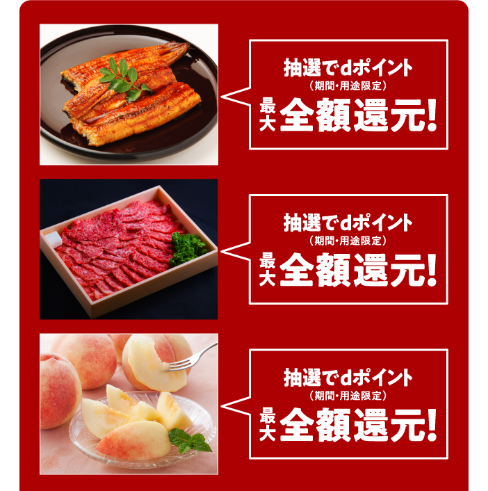 抽選でdポイント(期間・用途限定) 最大全額還元!