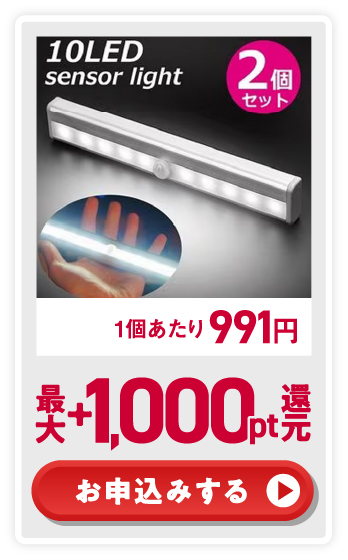 1個あたり991円 最大+1,000pt還元 お申込みする