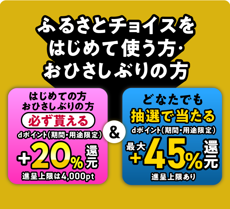 ふるさとチョイスをはじめて使う方・おひさしぶりの方 はじめての方おひさしぶりの方 必ず貰える dポイント(期間・用途限定)+20%還元 進呈上限は4,000pt ハズレなし！抽選で最大 +45%還元 進呈上限あり