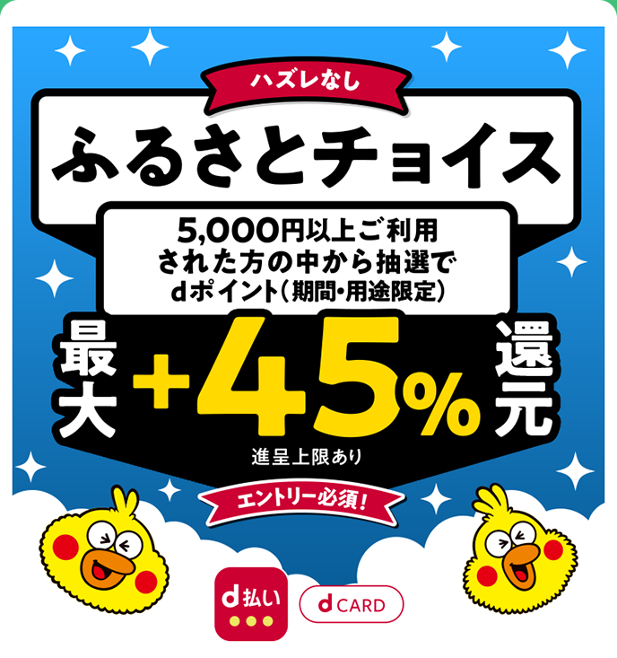 ハズレなし ふるさとチョイス 5,000円以上ご利用された方の中から抽選で 最大+45%還元 進呈上限あり エントリー必須