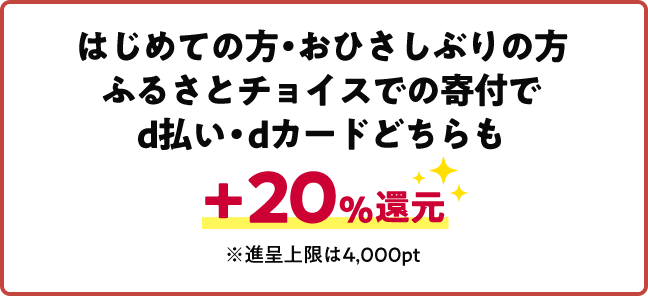 はじめての方・おひさしぶりの方ふるさとチョイスでの寄付でd払い・dカードどちらも+20%還元 ※進呈上限は4,000pt