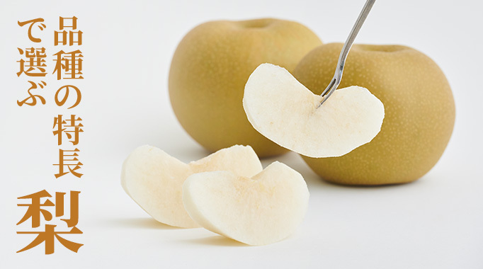 品種の特長で選ぶ 梨
