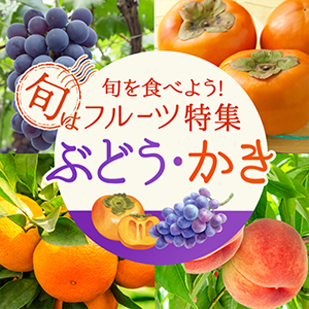 旬を食べよう!フルーツ特集　ぶどう・かき