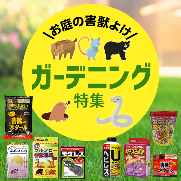 ガーデニング特集